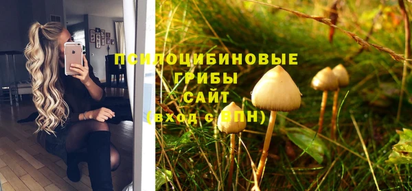 ГАЛЛЮЦИНОГЕННЫЕ ГРИБЫ Армянск