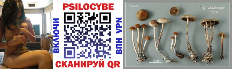 Псилоцибиновые грибы Magic Shrooms  МЕГА зеркало  Пугачёв 